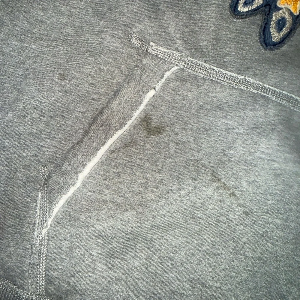 Abercrombie & Fitch Gray Hoodie with Colorful Indian Embroidery Y2K - Picture 5 of 8